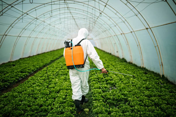 Best Pest Removal Services  in Vamo, FL