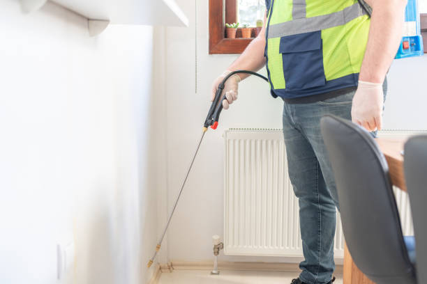 Best Emergency Pest Control  in Vamo, FL